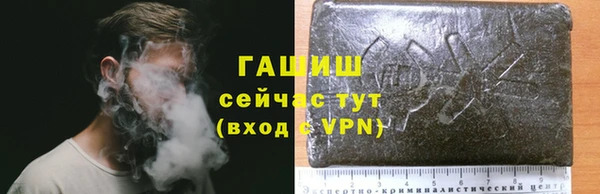 ешки Бородино