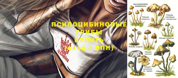 гидра Бронницы