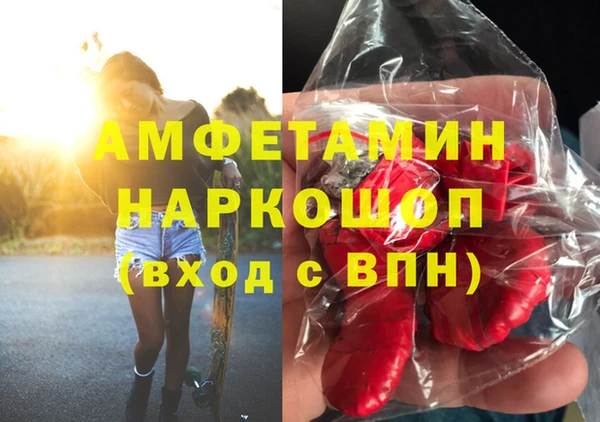 гидра Бронницы