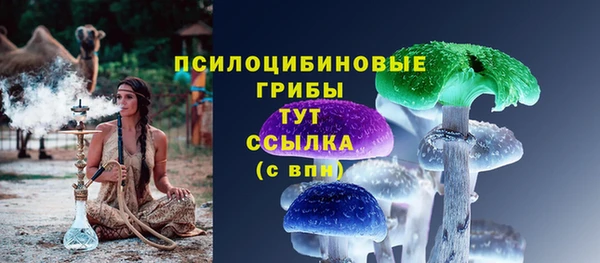 дурь Верхний Тагил