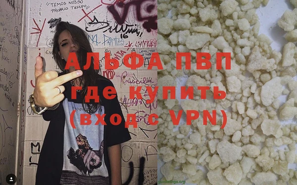 ешки Бородино