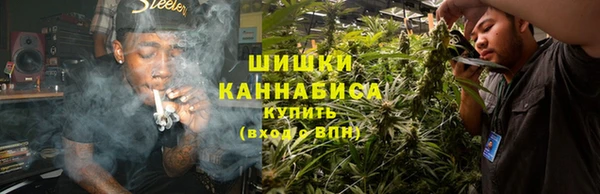 ешки Бородино