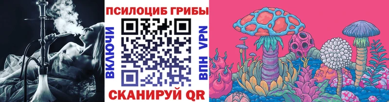 Купить  Нюрба  Псилоцибиновые грибы Psilocybine cubensis 
